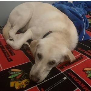 Meet your Posher, Cale